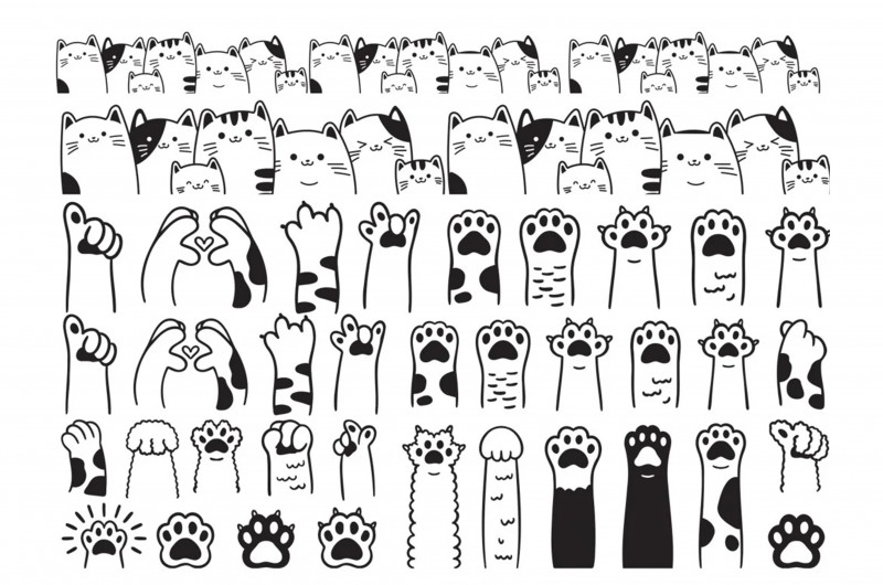 Papier Transfert pour céramique - Pattes de chat