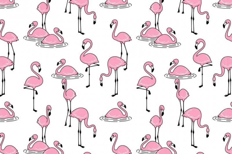 Papier Transfert pour céramique - Flamants roses