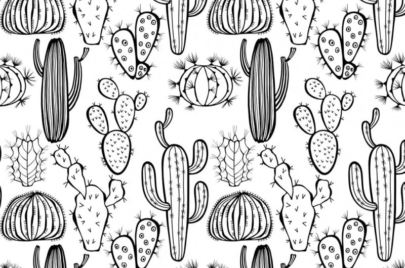 Papier Transfert pour céramique - Cactus noirs